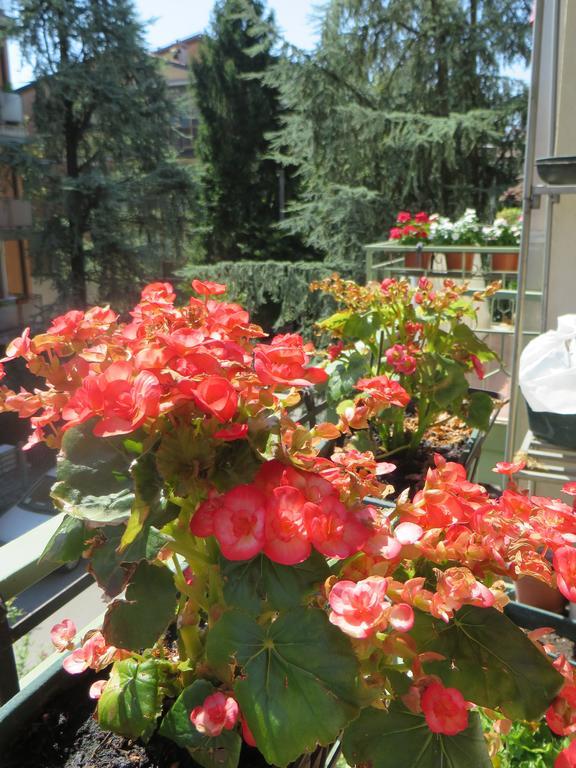 B&B Casa Patavina Падуа Екстериор снимка